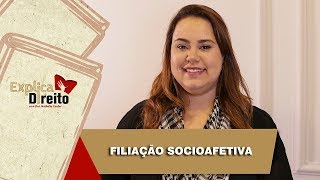 Explica Direito Filiação Socioafetiva  2019 [upl. by Etep109]