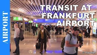 TRANSIT WALK AT FRANKFURT Airport FRA Terminal 1  Connection Flight Transfer Arriving amp Departing [upl. by Caswell3]